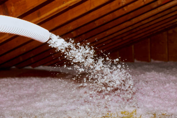 Best Commercial Insulation in Brookhaven, GA